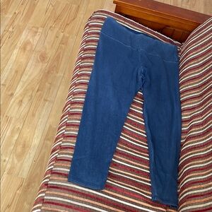 Elegant Blue Women's Jeggings